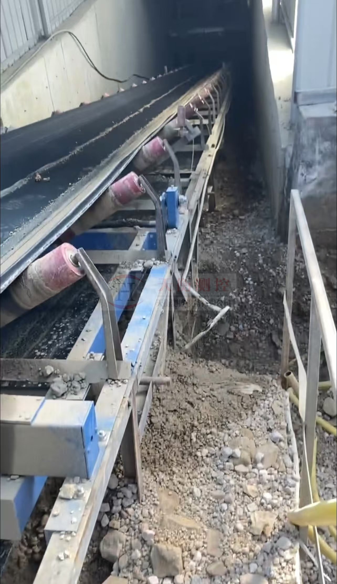 草莓视频91污案例圖片