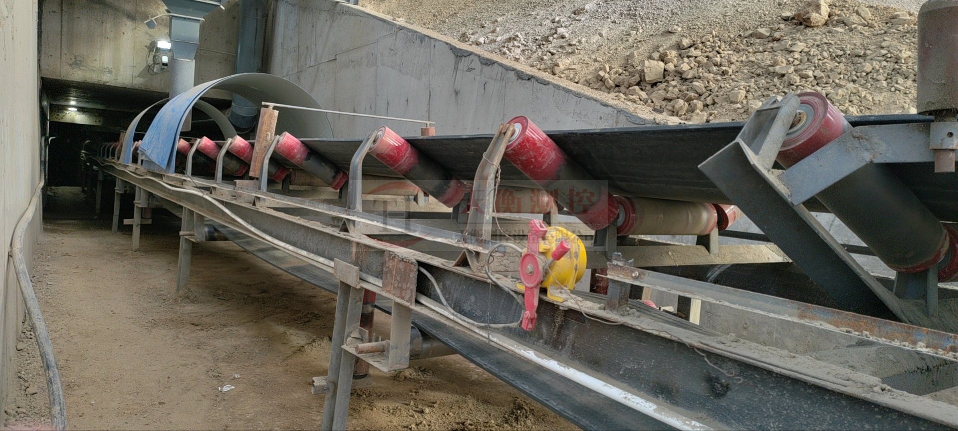 電子草莓视频91污案例